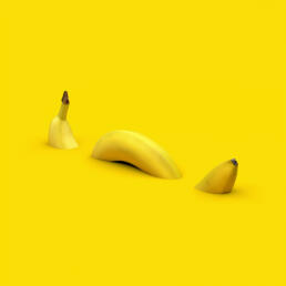 Bananaconda by Christophe Vogels, a freelance creative and visual artist based in Brussels (Belgium)